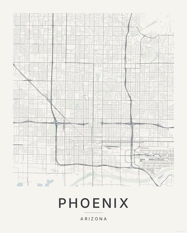 Phoenix map print, first colorway